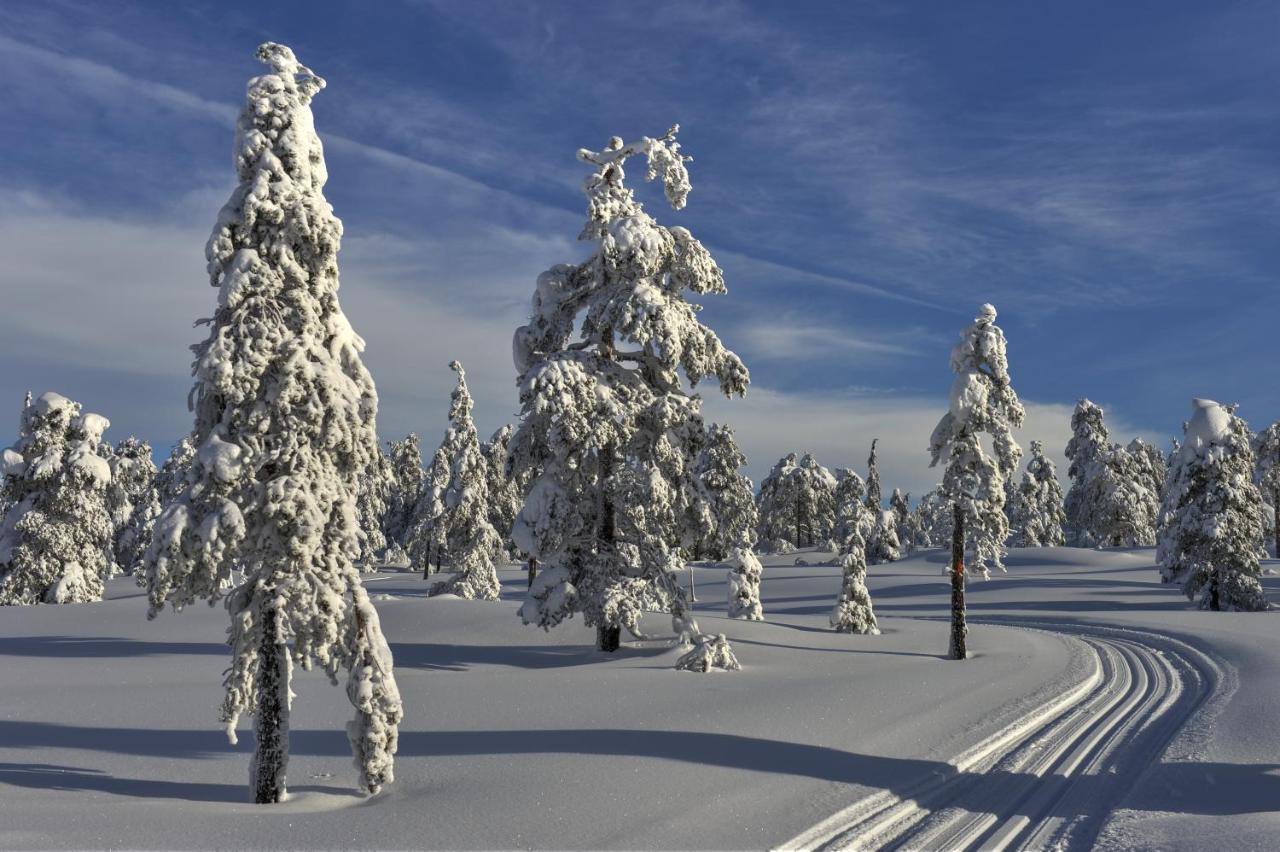 Tyrifjord Vikersund