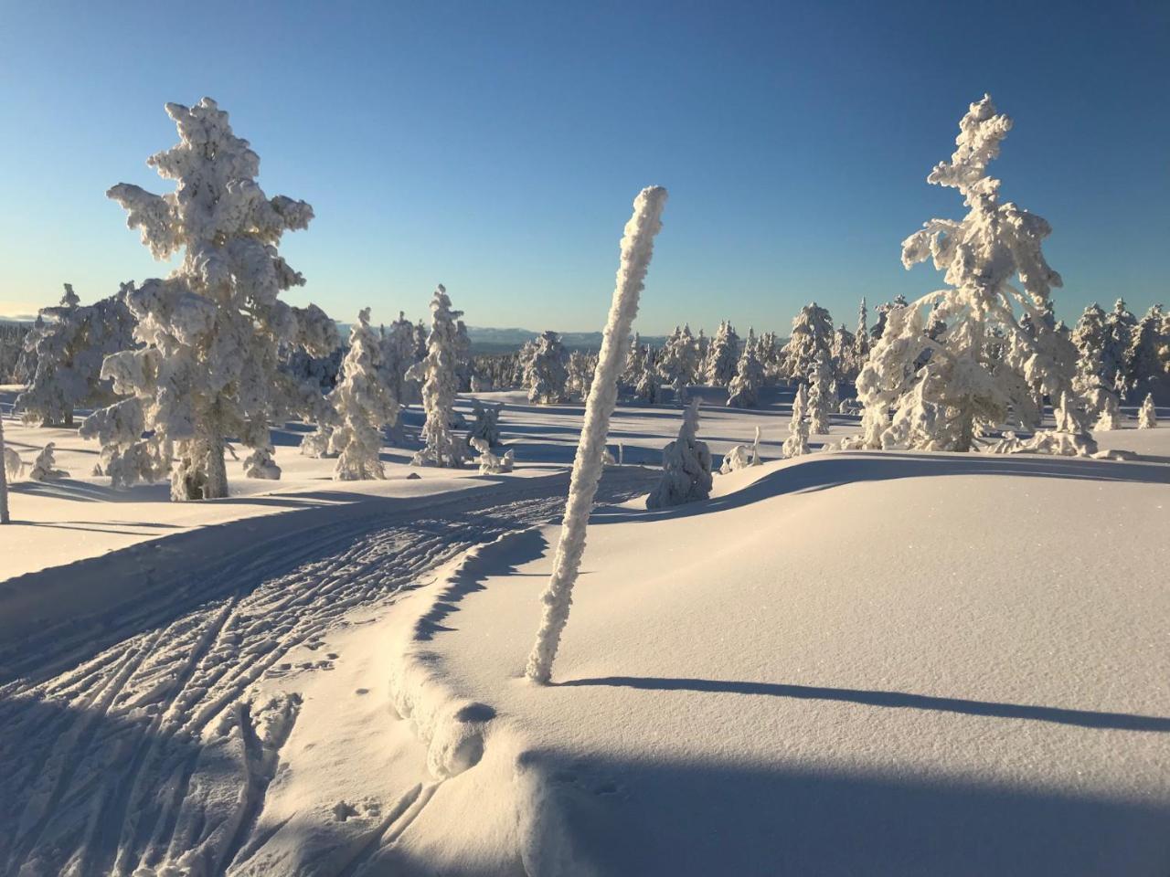 Tyrifjord 4* Vikersund